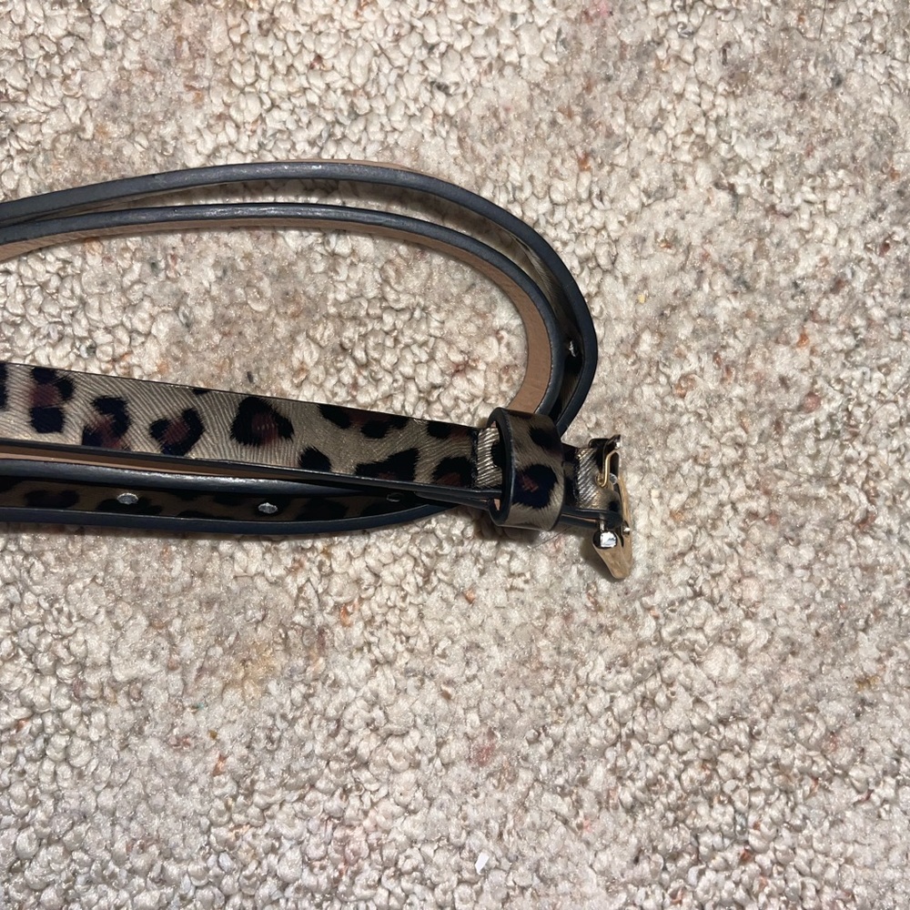 BELT BUNDLE